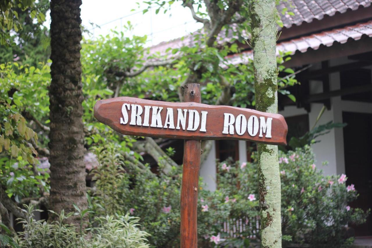 Standard Double or Twin Room,1419089322:JPEG